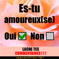 es tu amoureux[se]