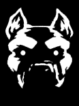 PIT BULL