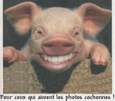 pour ................