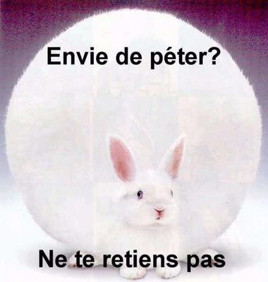 envi