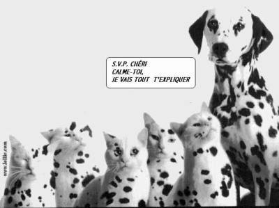 je v t expliquer
