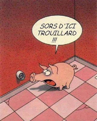 MDR