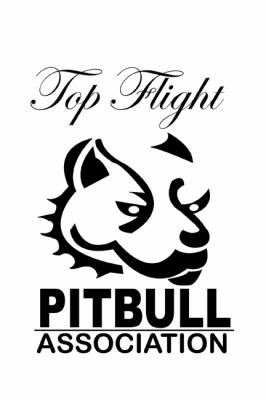 PIT BULL